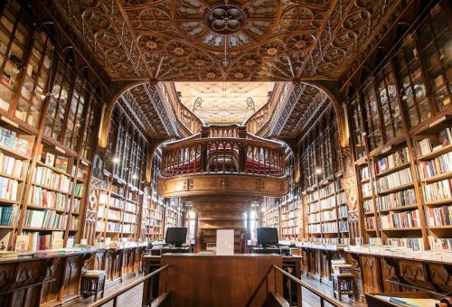 Library with various books for studying English as a Lingua Franca (ELF)