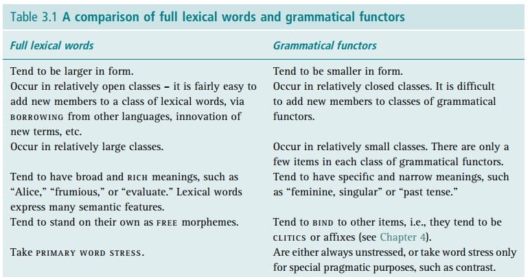 Comparison of full lexical words and grammatical functors