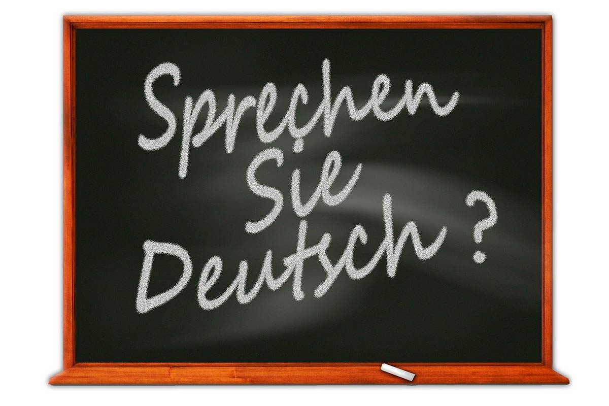 Text inspector the most important languages to learn for business